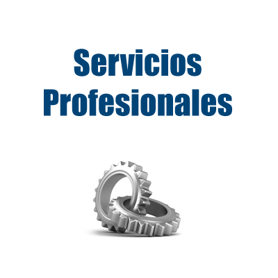 Asistencia técnica remota