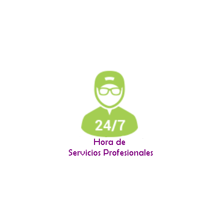 Serviço de Suporte Profissional ao seu sistema de automação residencial através de assistência remota