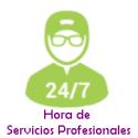 Professional Support Service to your home automation system through remote assistance