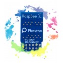 Phoscon RaspBee II- Universal Zigbee Gateway for Raspberry Pi