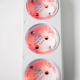 Shelly -  Power Strip 4 Gen4 - Regleta inteligente Matter, Zigbee, WIFI 